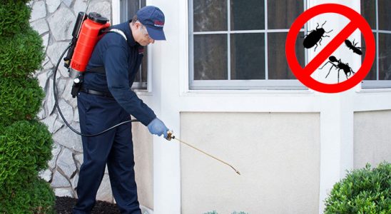 Pertek Böcek İlaçlama böcek ilaçlama ve haşere kontrolü — ilaclama-tr.com